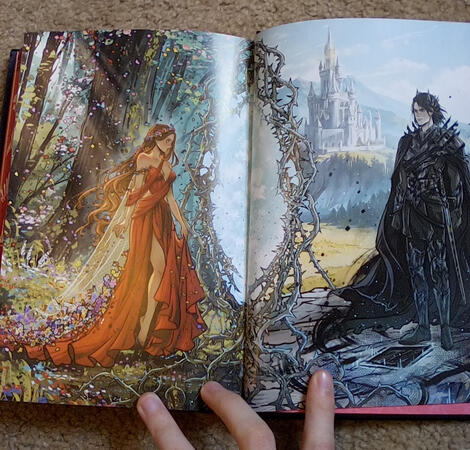 Lightlark Inside Art Lightlark Inside Art